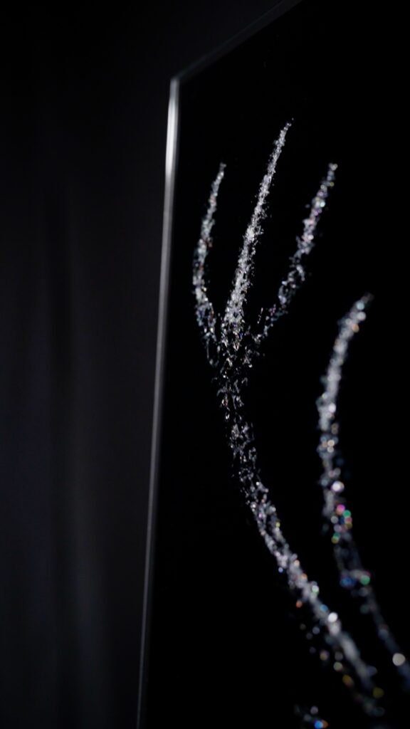 Close Up Geweih Hirsch Broken Glass