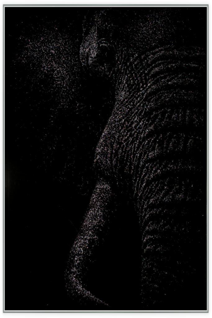 Elefant